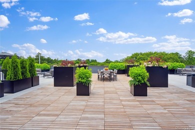 The only new construction condominium building in Great Neck, NY - photo 7