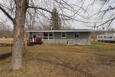 Big Swan Lake - Todd County Home For Sale in Burtrum Minnesota