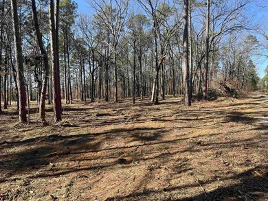 Greers Ferry Lake Lot For Sale in Greers Ferry Arkansas