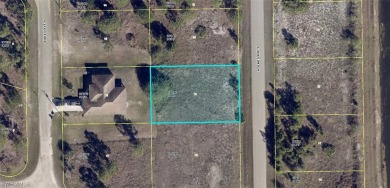 Lehigh Acres Area Lot For Sale in Lehigh Acres Florida
