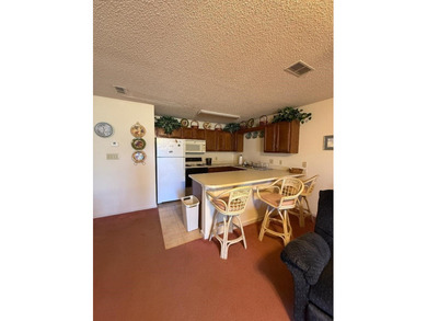 FIRST FLOOR FURNISHED! This is the larger of the 2 bedroom - photo 4
