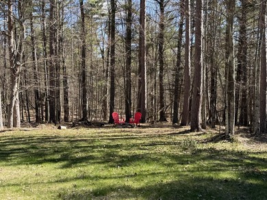 If you've been dreaming of your own Adirondack escape--this - photo 5