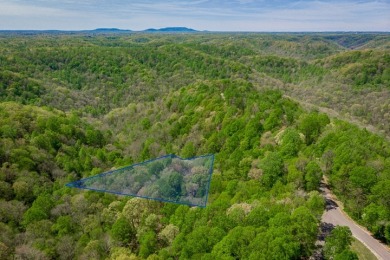 Lovely Wooded Building Site  - Lake Lot For Sale in Smithville, Tennessee