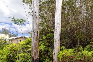 Build your dream home on this 3-acre verdant lot that is ready - photo 11