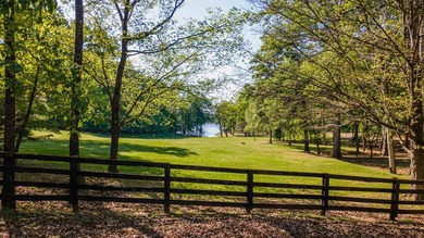 RARE CHANCE TO OWN OVER 10 ACRES OF LAKEFRONT PROPERTY ON THE - photo 12
