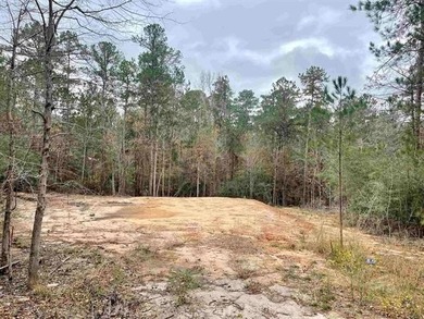 Lake Sam Rayburn  Lot For Sale in Brookeland Texas