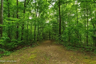 Battletown, KY 9.9 acres with wooded land and deer stand - photo 36