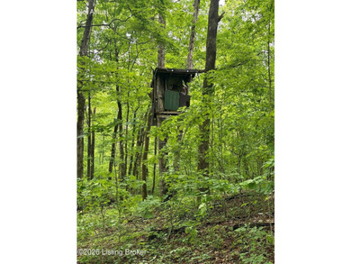 Battletown, KY 9.9 acres with wooded land and deer stand - photo 37