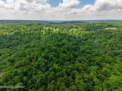 Battletown, KY 9.9 acres with wooded land and deer stand - photo 40