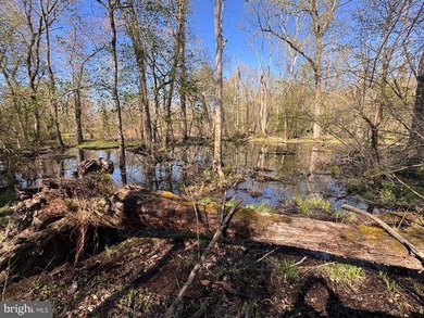 (private lake, pond, coastal) Lot For Sale in Goldsboro Maryland