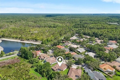 Under contract-accepting backup offers. A cut above the rest! - photo 46