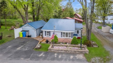 Lake Home For Sale in Deruyter, New York
