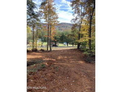 Lake Lot For Sale in Andersonville, Tennessee
