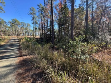 Lake Sam Rayburn  Lot For Sale in Brookeland Texas