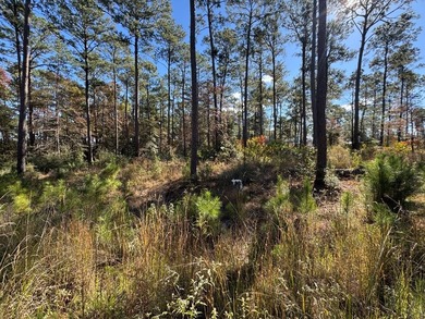 Lake Sam Rayburn  Lot For Sale in Brookeland Texas