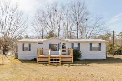 Lake Home For Sale in Cobb, Georgia