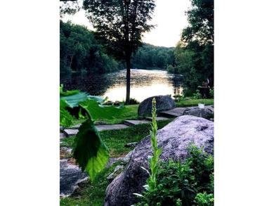 This amazing 1-of-a kind, 39+ acre property located 1hr-10min NE - photo 11
