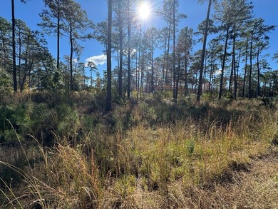 Lake Sam Rayburn  Lot For Sale in Brookeland Texas