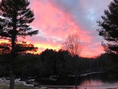 This amazing 1-of-a kind, 39+ acre property located 1hr-10min NE - photo 13