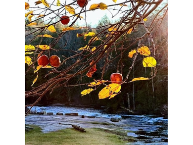 This amazing 1-of-a kind, 39+ acre property located 1hr-10min NE - photo 14