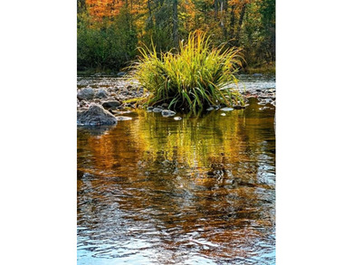 This amazing 1-of-a kind, 39+ acre property located 1hr-10min NE - photo 15