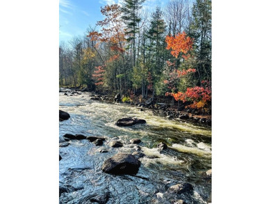 This amazing 1-of-a kind, 39+ acre property located 1hr-10min NE - photo 17