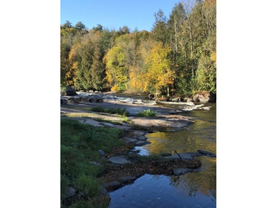 This amazing 1-of-a kind, 39+ acre property located 1hr-10min NE - photo 19