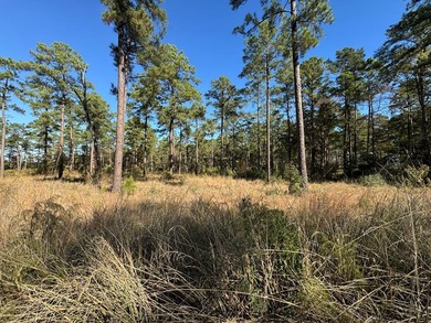 Lake Sam Rayburn  Lot For Sale in Brookeland Texas
