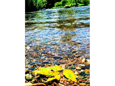 This amazing 1-of-a kind, 39+ acre property located 1hr-10min NE - photo 25