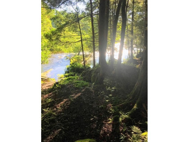 This amazing 1-of-a kind, 39+ acre property located 1hr-10min NE - photo 27