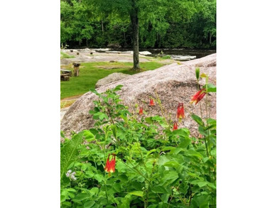 This amazing 1-of-a kind, 39+ acre property located 1hr-10min NE - photo 30
