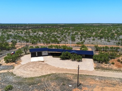 Lake Alan Henry Home For Sale in Justiceburg Texas