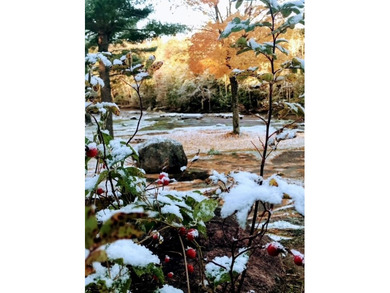 This amazing 1-of-a kind, 39+ acre property located 1hr-10min NE - photo 44