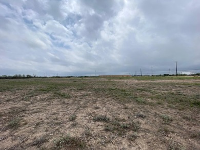 Lake Commercial For Sale in Del Rio, Texas
