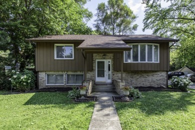 Lake Home For Sale in Ingleside, Illinois