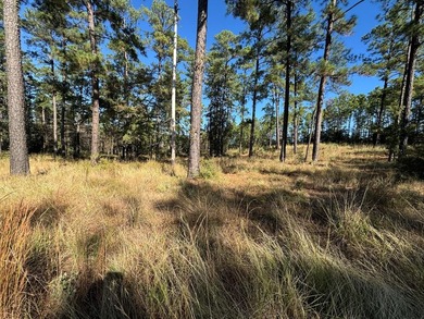 Lake Sam Rayburn  Lot For Sale in Brookeland Texas