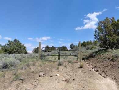 Drews Reservoir Acreage For Sale in Lakeview Oregon