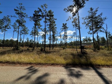 Lake Sam Rayburn  Lot For Sale in Brookeland Texas
