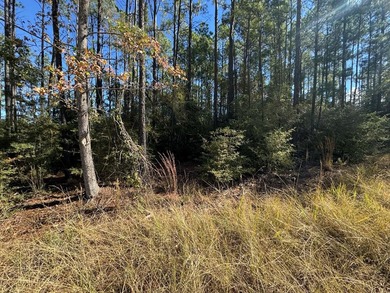 Lake Sam Rayburn  Lot For Sale in Brookeland Texas