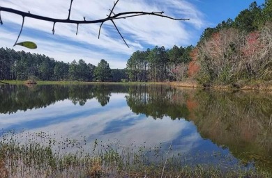 Lake Lot For Sale in Arabi, Georgia