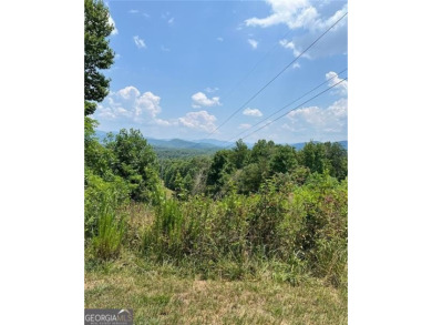 Lake Acreage For Sale in Blairsville, Georgia