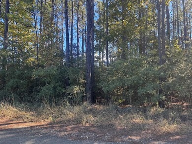 Lake Sam Rayburn  Lot For Sale in Brookeland Texas