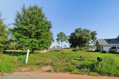 Build Your Dream Home with Stunning Water Views! This .37-acre - photo 1