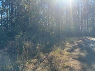 Lake Sam Rayburn  Lot For Sale in Brookeland Texas