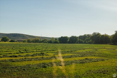 Discover an exceptional opportunity to own 1,265 acres of highly - photo 12