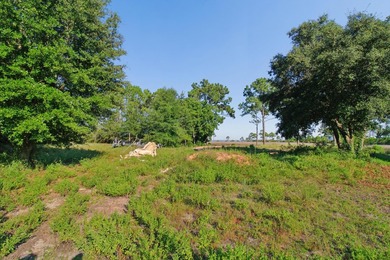 Build Your Dream Home with Stunning Water Views! This .37-acre - photo 3