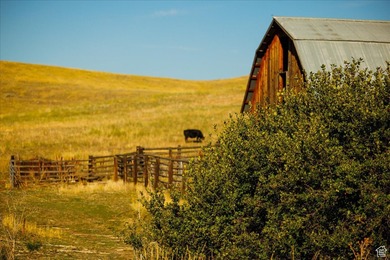 Discover an exceptional opportunity to own 1,265 acres of highly - photo 15