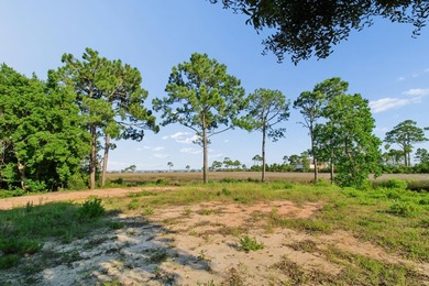 Build Your Dream Home with Stunning Water Views! This .37-acre - photo 6