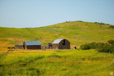 Discover an exceptional opportunity to own 1,265 acres of highly - photo 16