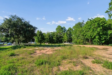 Build Your Dream Home with Stunning Water Views! This .37-acre - photo 7